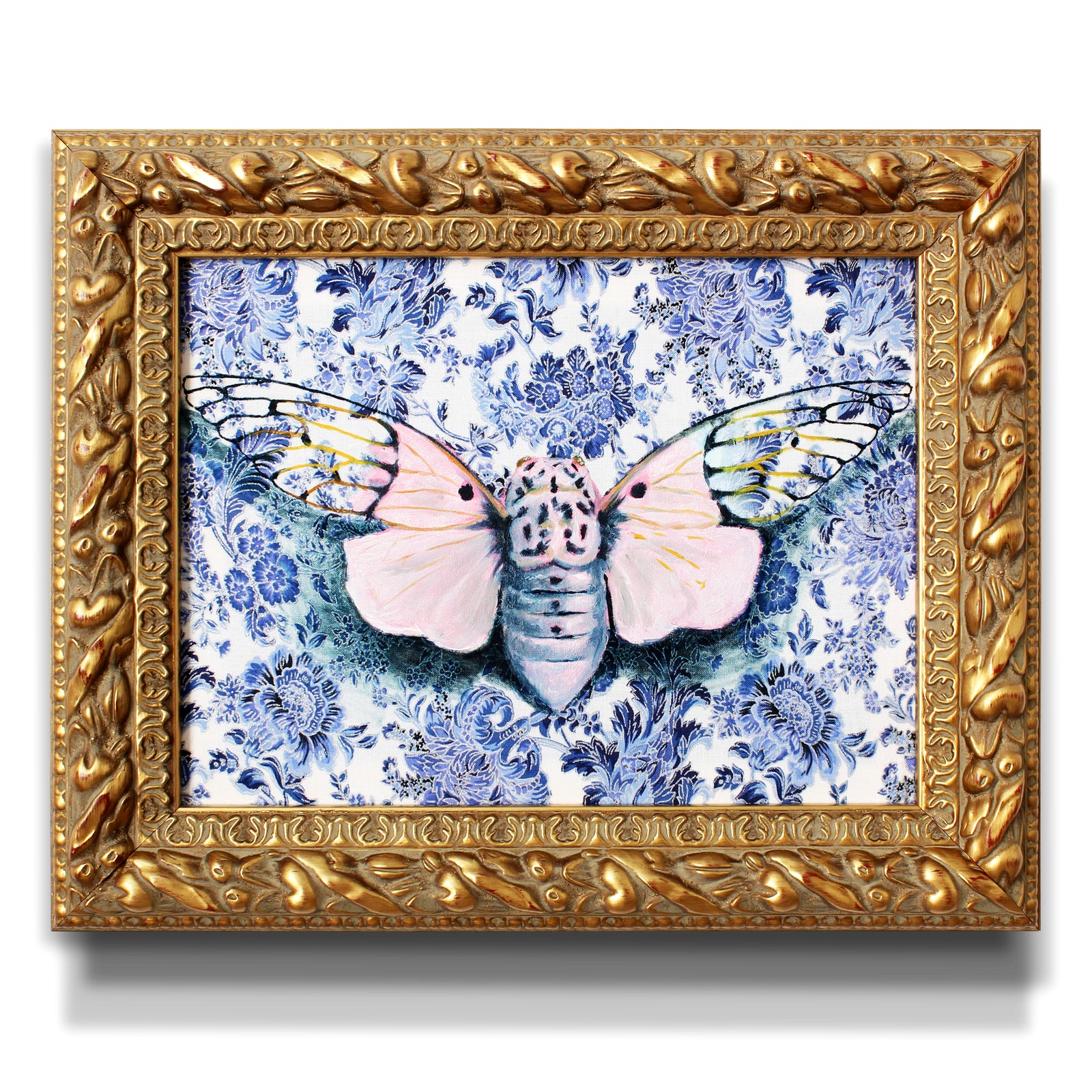 Ghost Cicada by Phillip Seymour