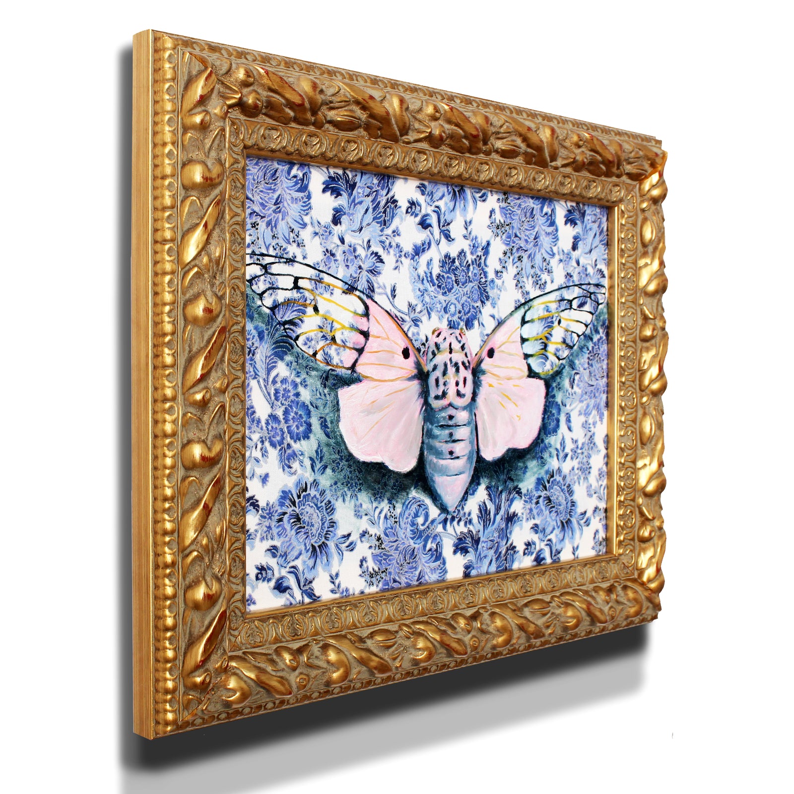 Ghost Cicada by Phillip Seymour