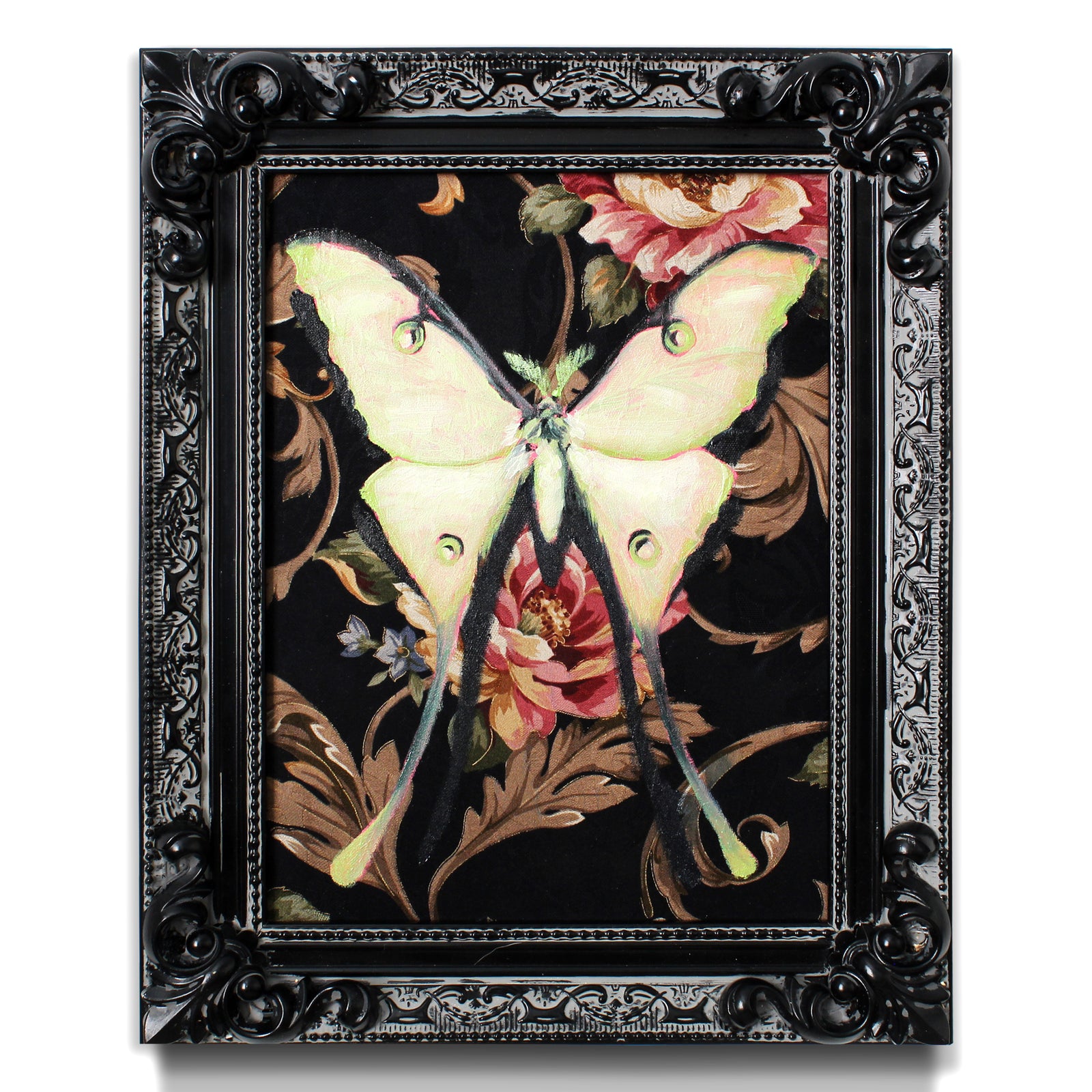 Lunar Moth by Phillip Seymour