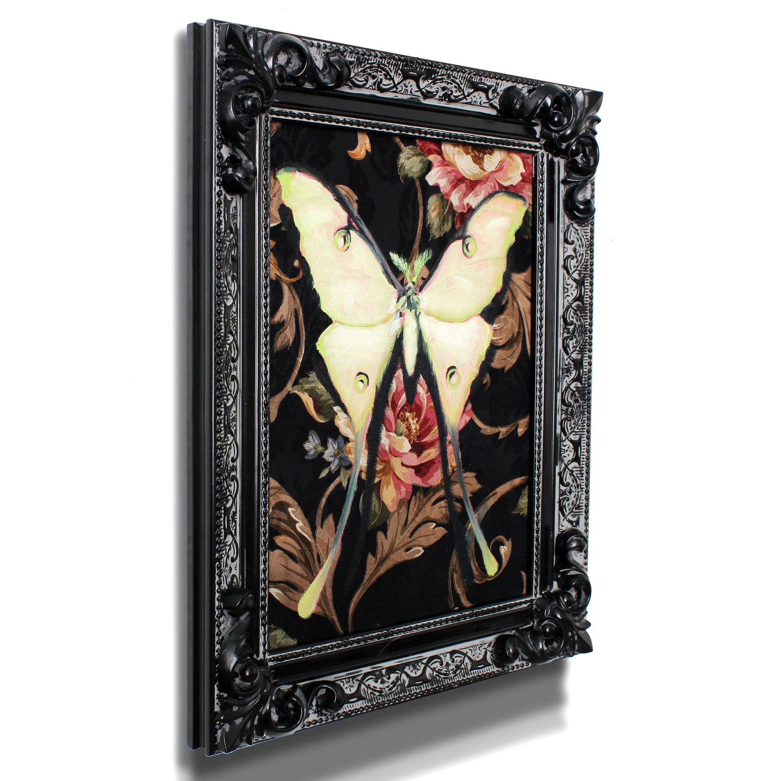 Lunar Moth by Phillip Seymour