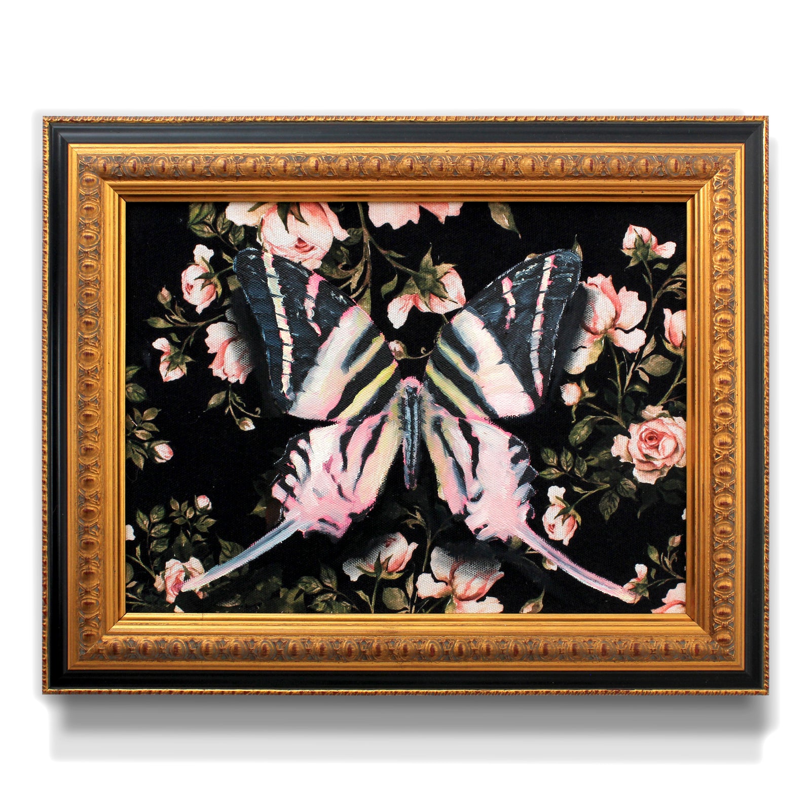 Swordtail by Phillip Seymour