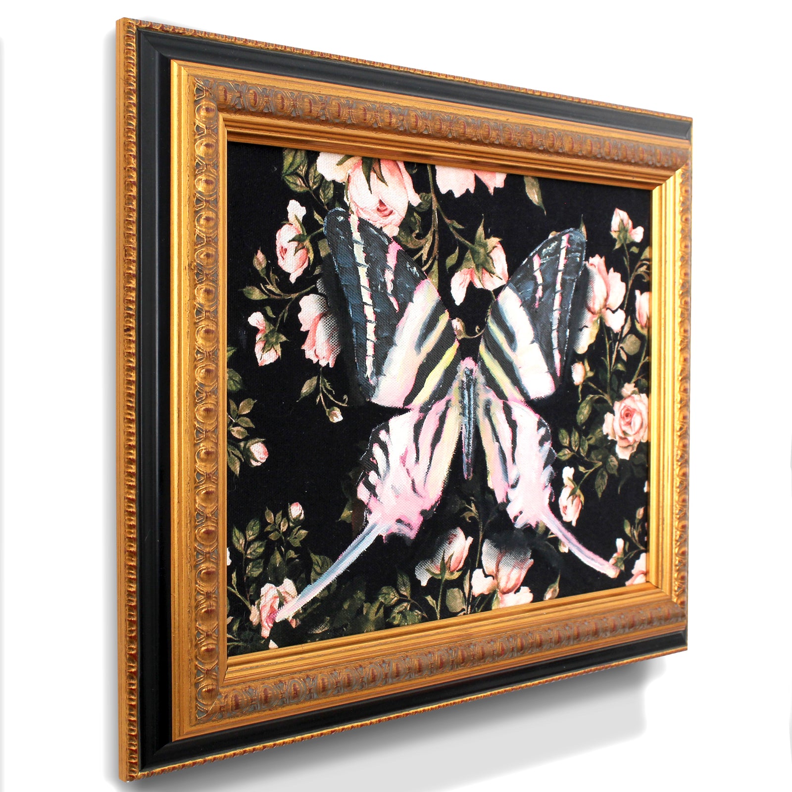 Swordtail by Phillip Seymour