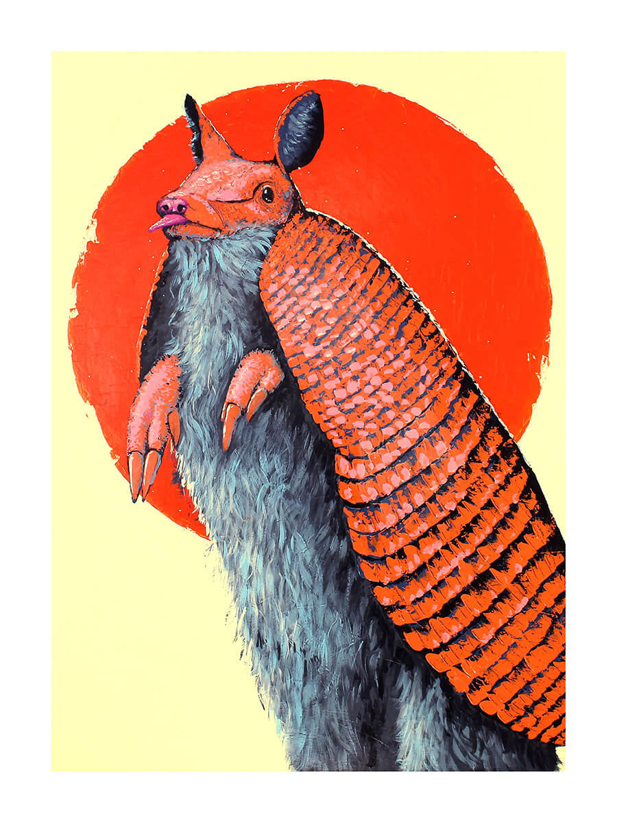 Armadillo Print by Philip Seymour