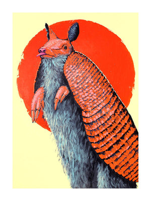 Armadillo Print by Phillip Seymour