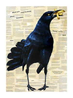 What You Need To Know About Grackles Print by Phillip Seymour