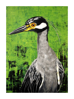 Yellow Crowned Night Heron Print by Phillip Seymour