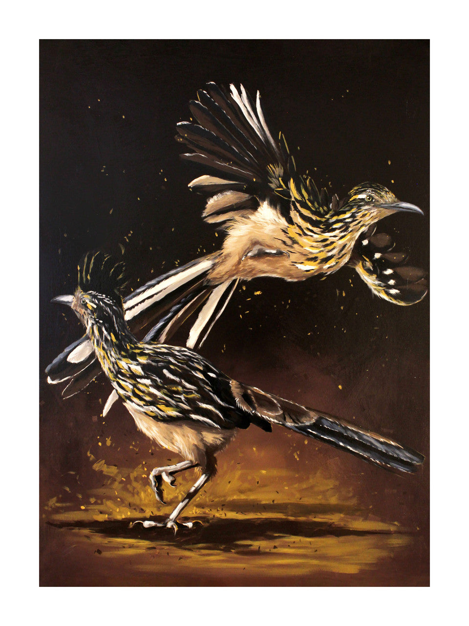 Roadrunner 02 Print by Phillip Seymour