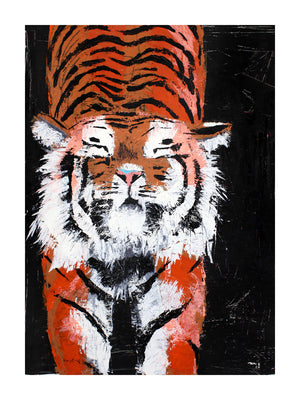 Tiger Stretch Print by Phillip Seymour