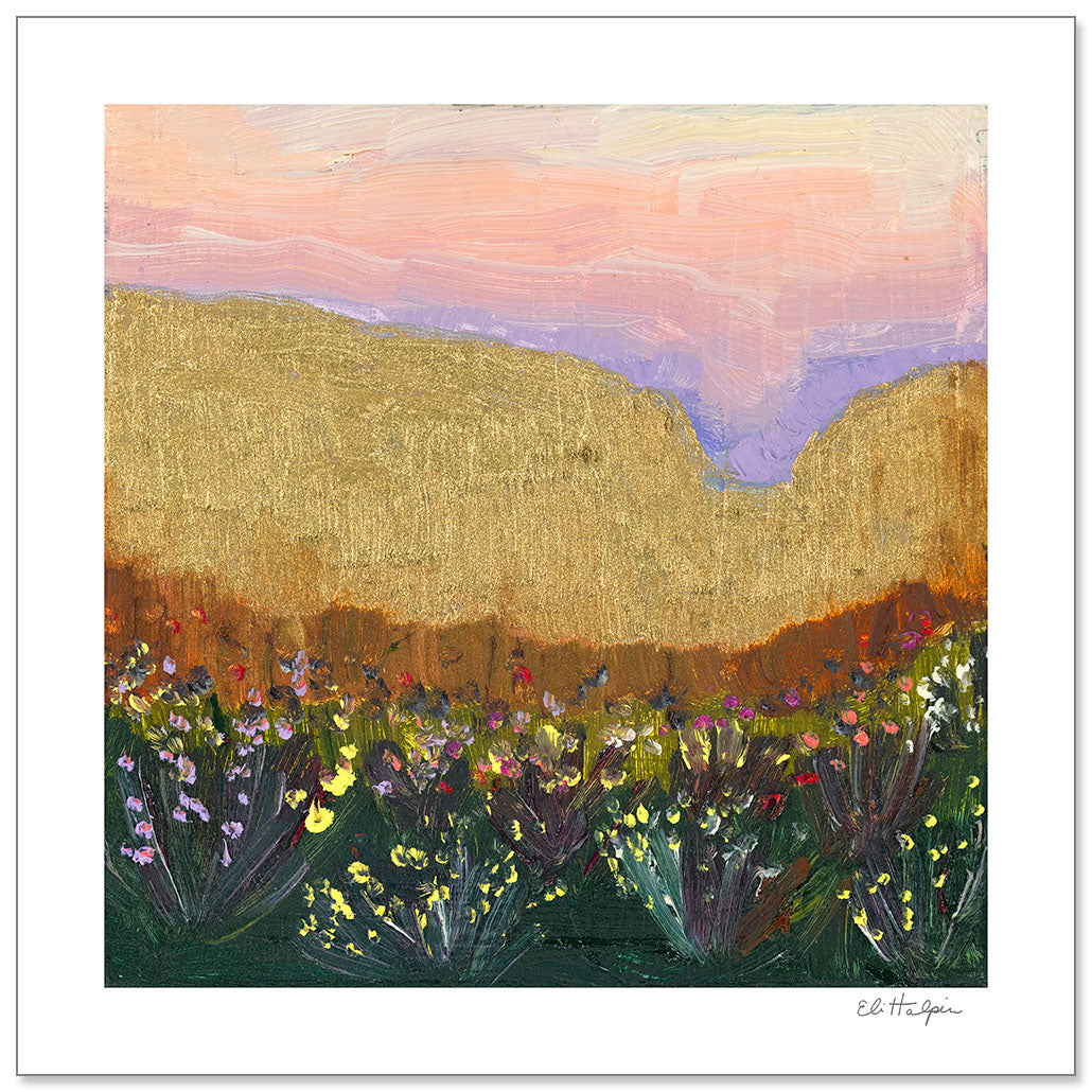 Pink Desert Sky by Eli Halpin + 12"x12" Paper