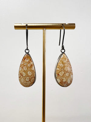 Fossilized Coral Earrings by Rebecca Frazier Jewelry