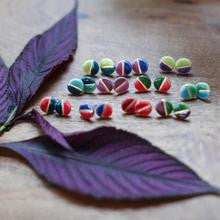 Color Block Studs- BAJA Collection by Remnant Studios