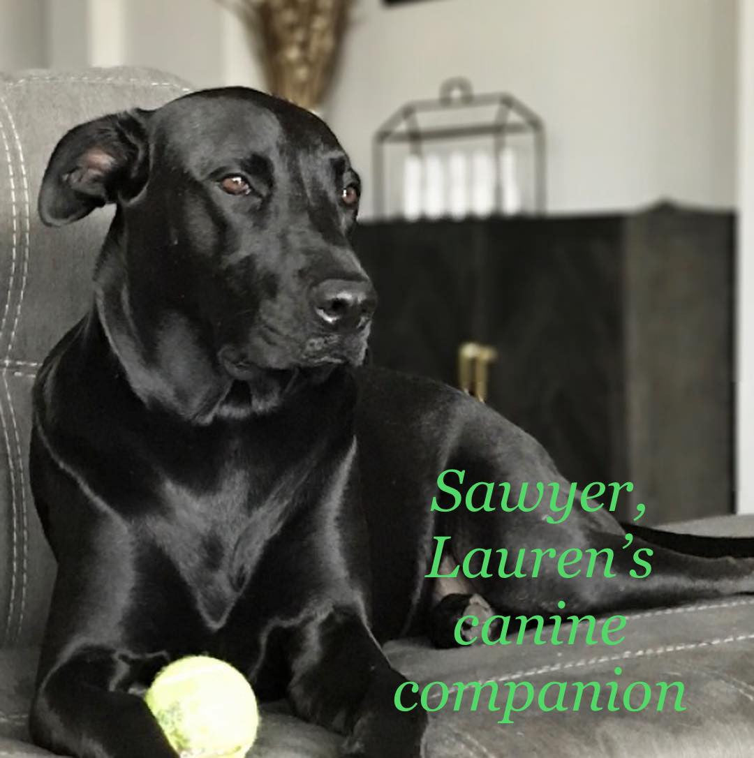 Why robots?!
"A series of oil paintings about sweet n' sad robots who experience the world in a way we take for granted" -Lauren Briere.