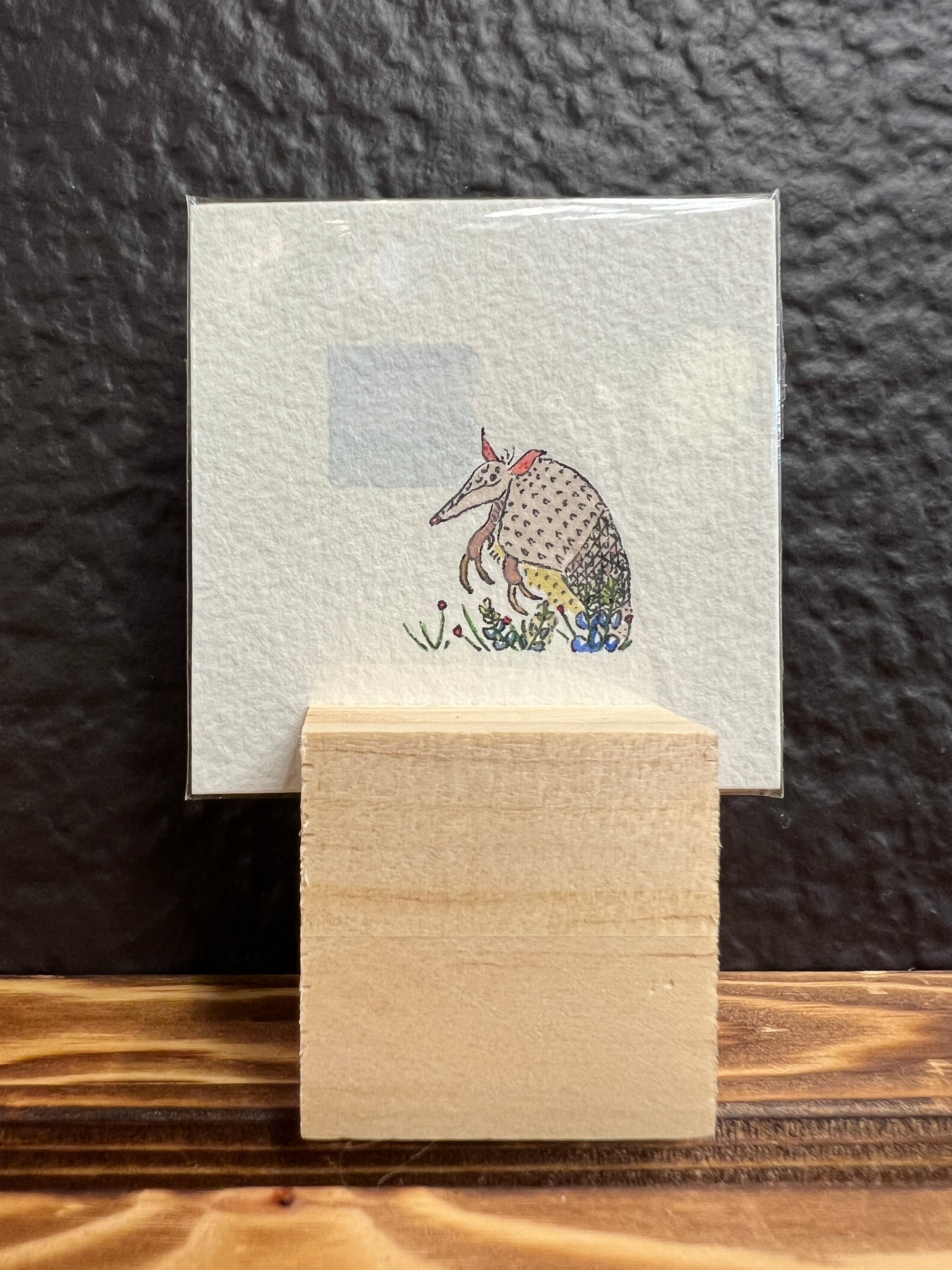 Teeny Tiny Armadillo Original by Sally Van Horn
