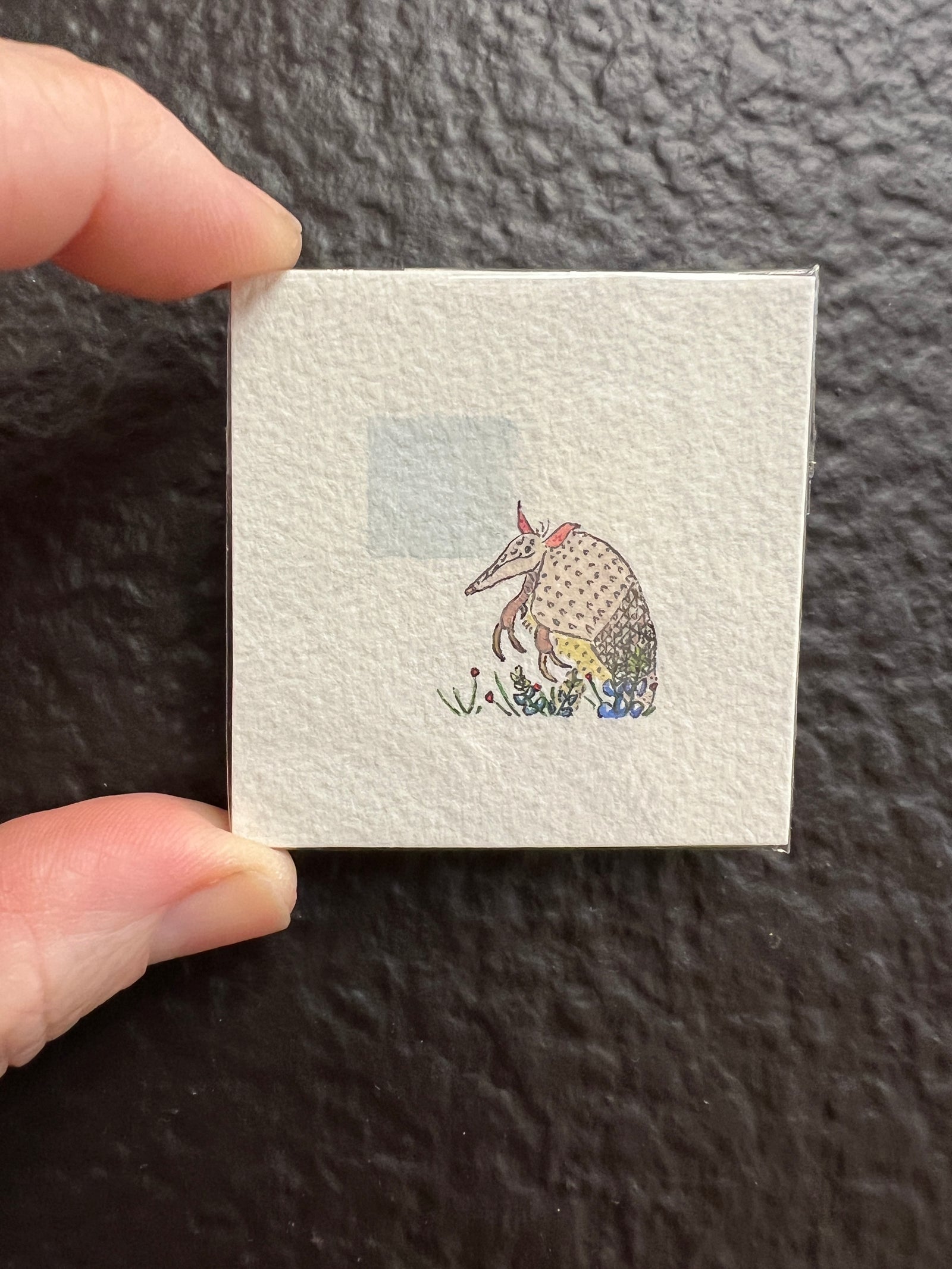 Teeny Tiny Armadillo Original by Sally Van Horn