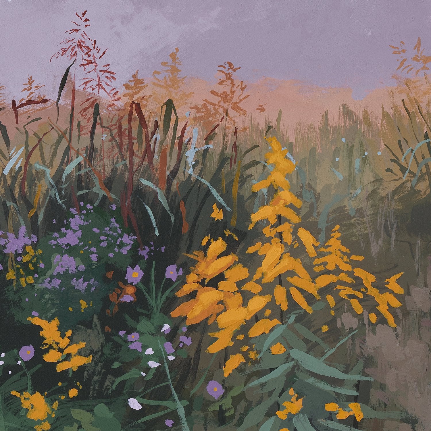 Asters and Goldenrod Print by  Sarah Moore + 11x14