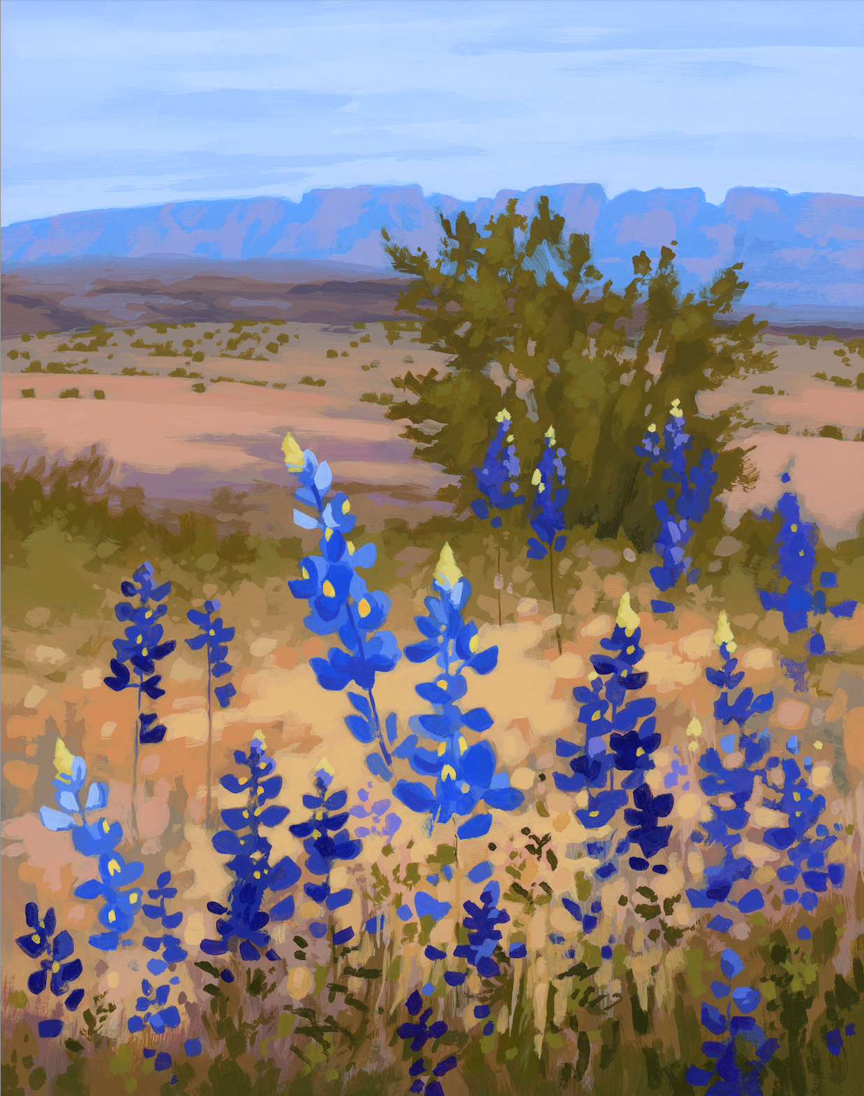 Big Bend Bluebonnets Print by  Sarah Moore + 11x14