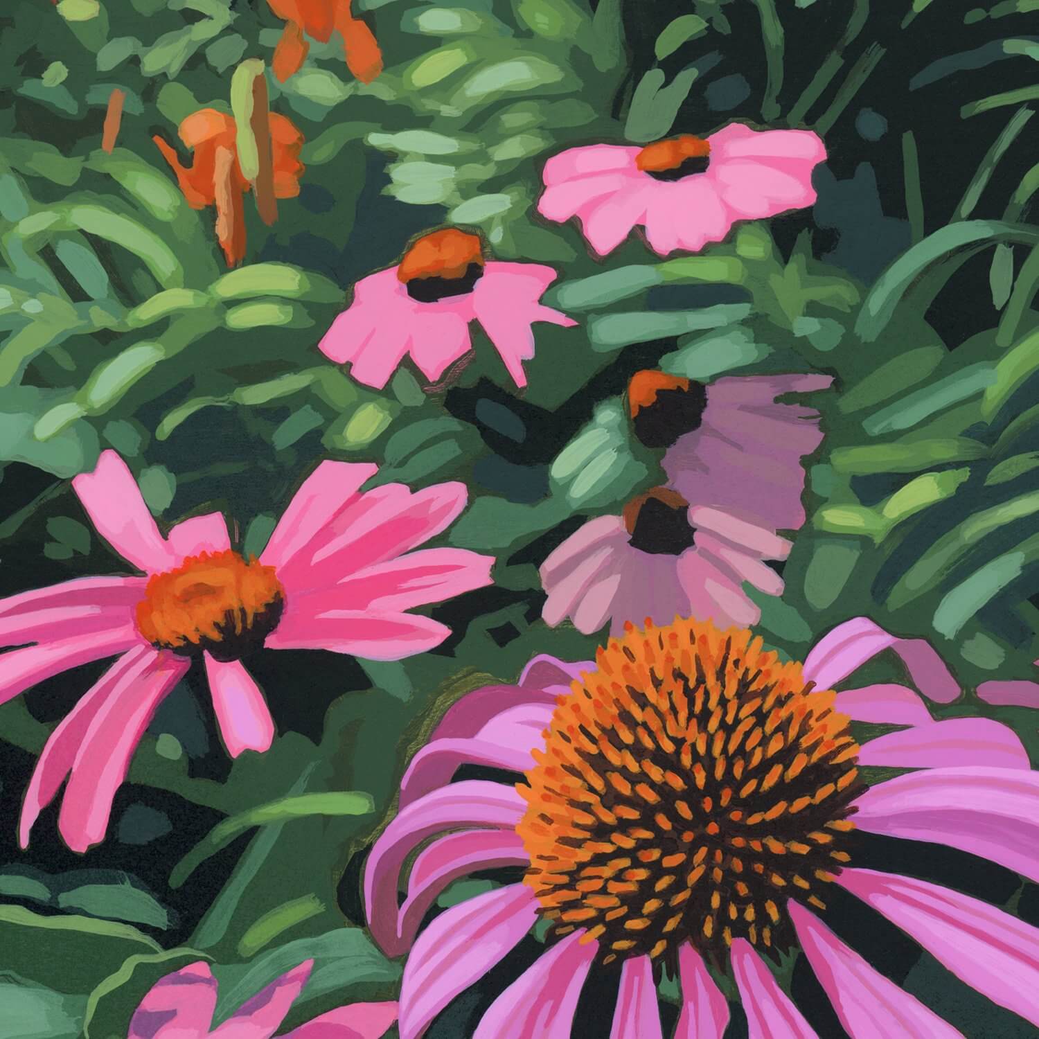 Pink Coneflowers Print by Sarah Moore