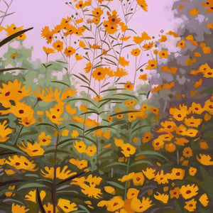 Sunrise Sunflowers Print by  Sarah Moore