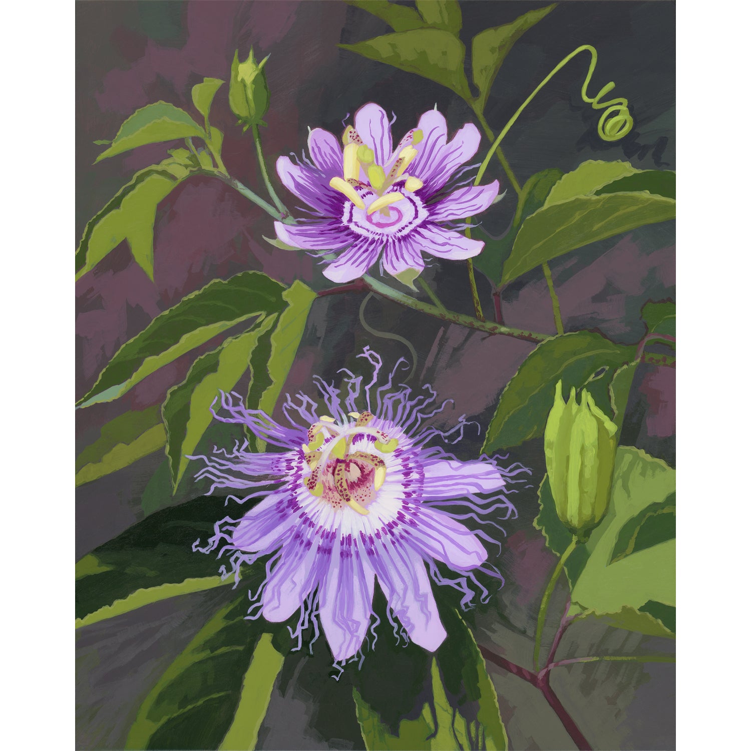 Purple Passion Flower Print by  Sarah Moore