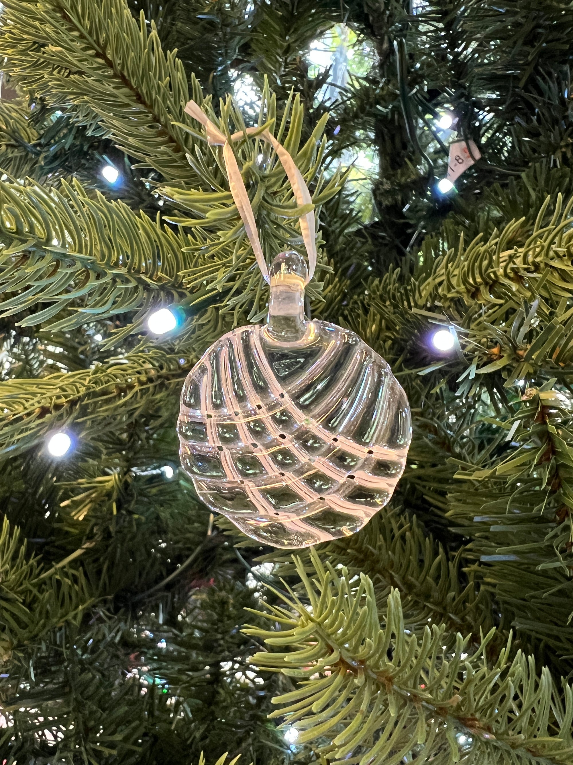 Clear Glass Christmas Ornament by Steve Vaught