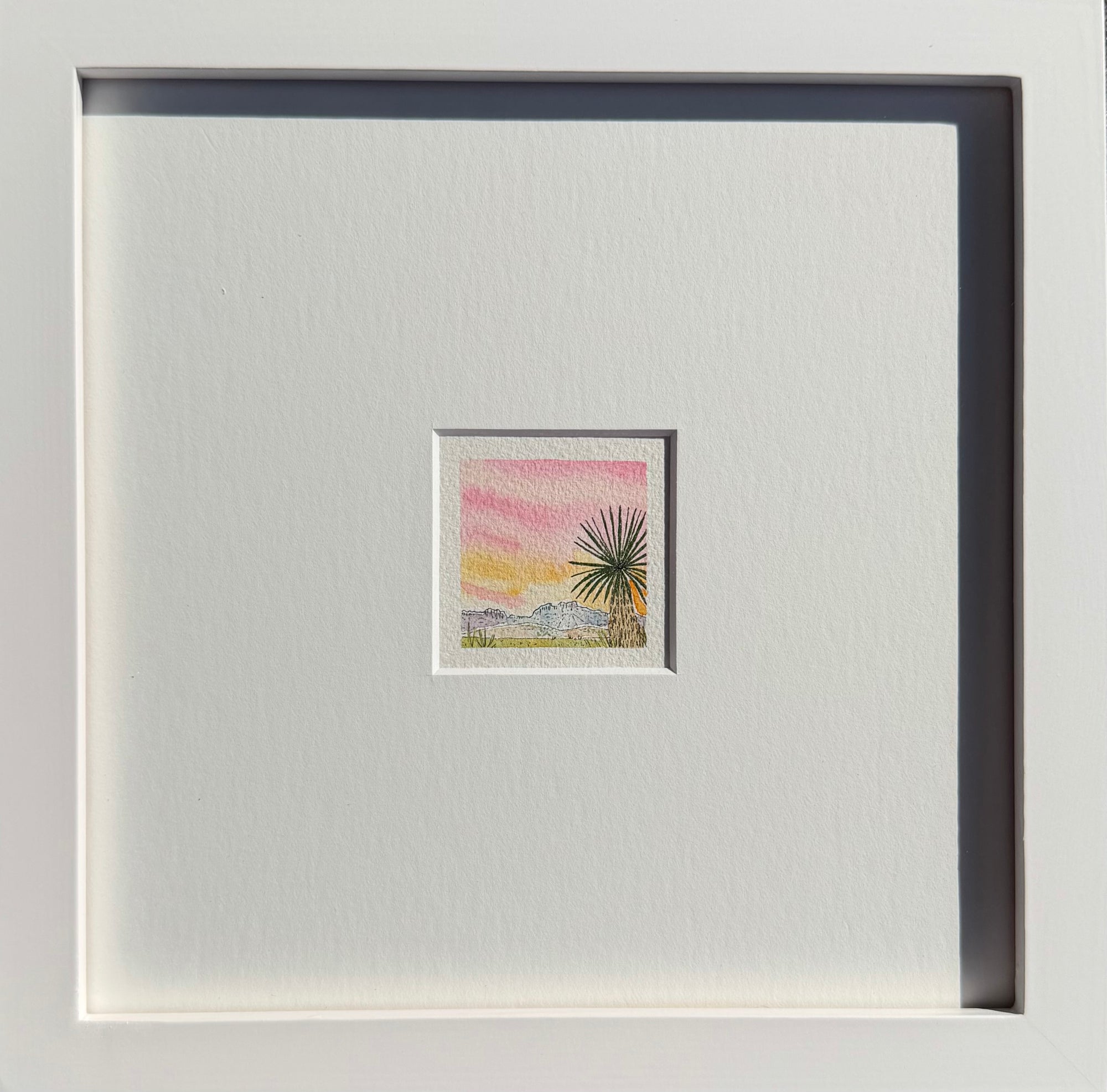 Yucca At Sunset by Sally Van Horn