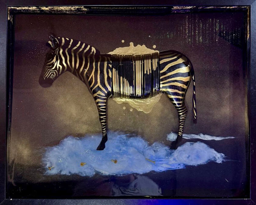 Zebra Code by Victor Selin