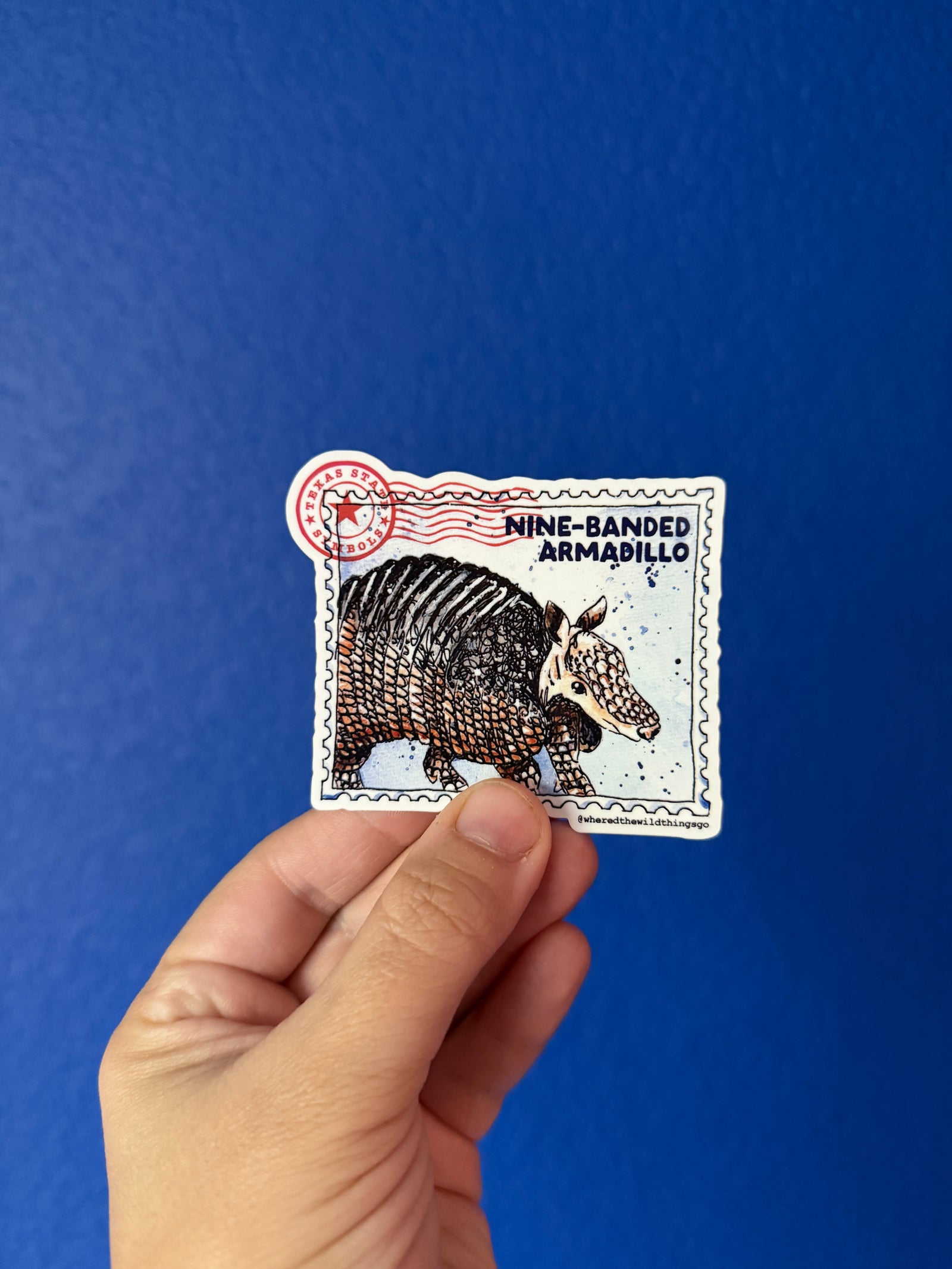 Nine Banded Armadillo Sticker by Emily Tolipova of Where'd The Wild Things Go