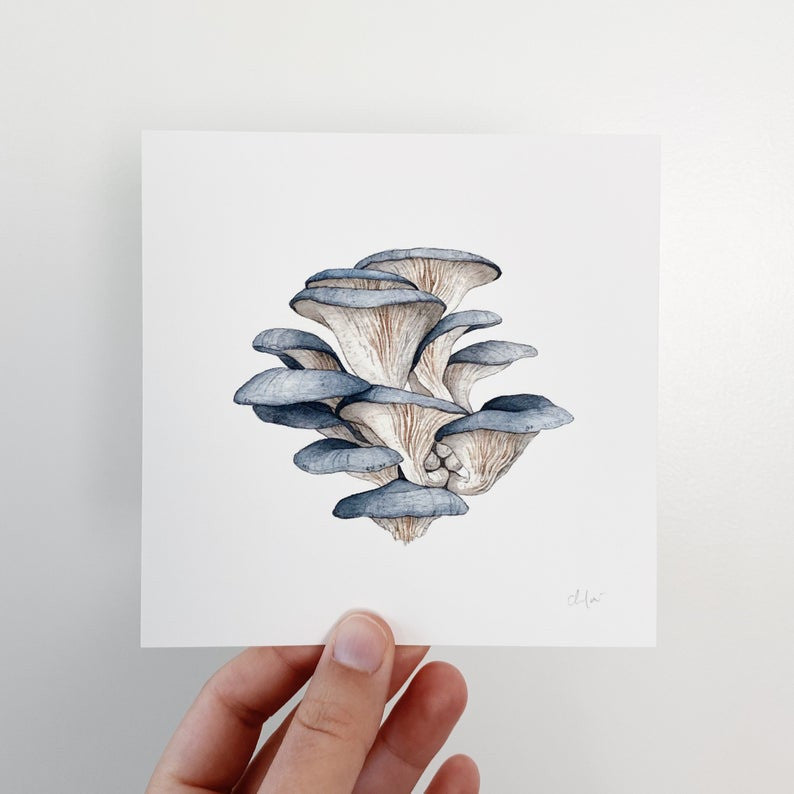 Mushroom Study #2, Blue Oyster Mini Print by Chloe Gray