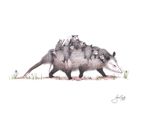 Opossum Family Outing Print by Janis Fowler