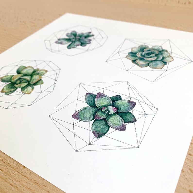 Geometric Succulent Studies Print by Chloé Gray