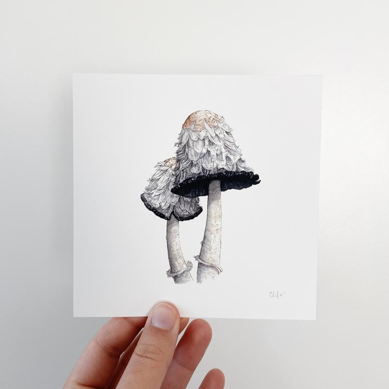 Mushroom Study #3, Shaggy Mane Mini Print by Chloe Gray