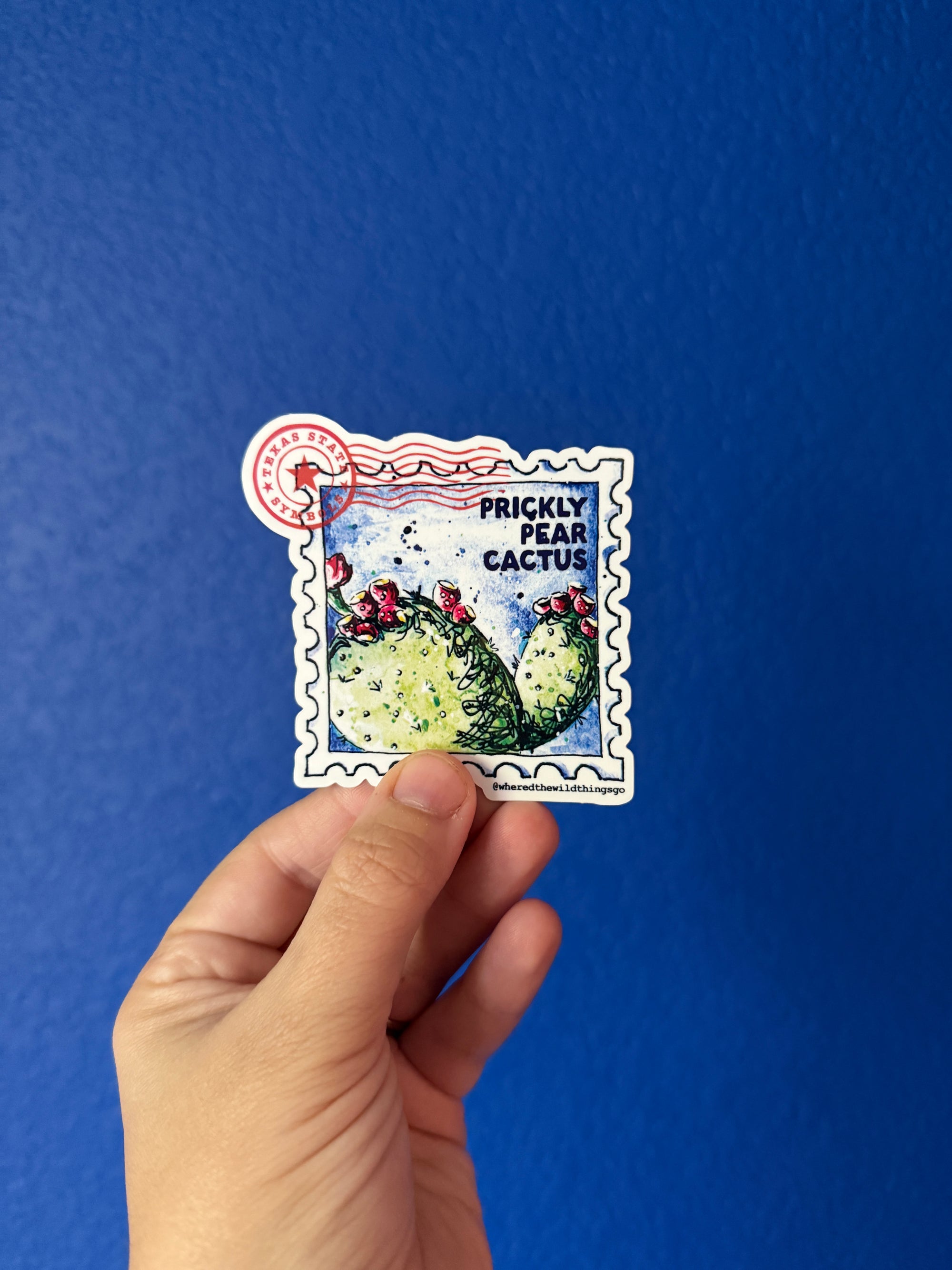 Prickly Pear Cactus Sticker by Emily Tolipova of Where'd The Wild Things Go