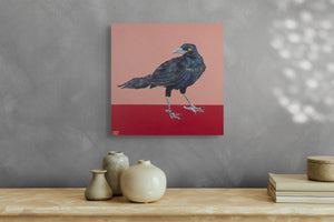 Randall by Casey Gallagher