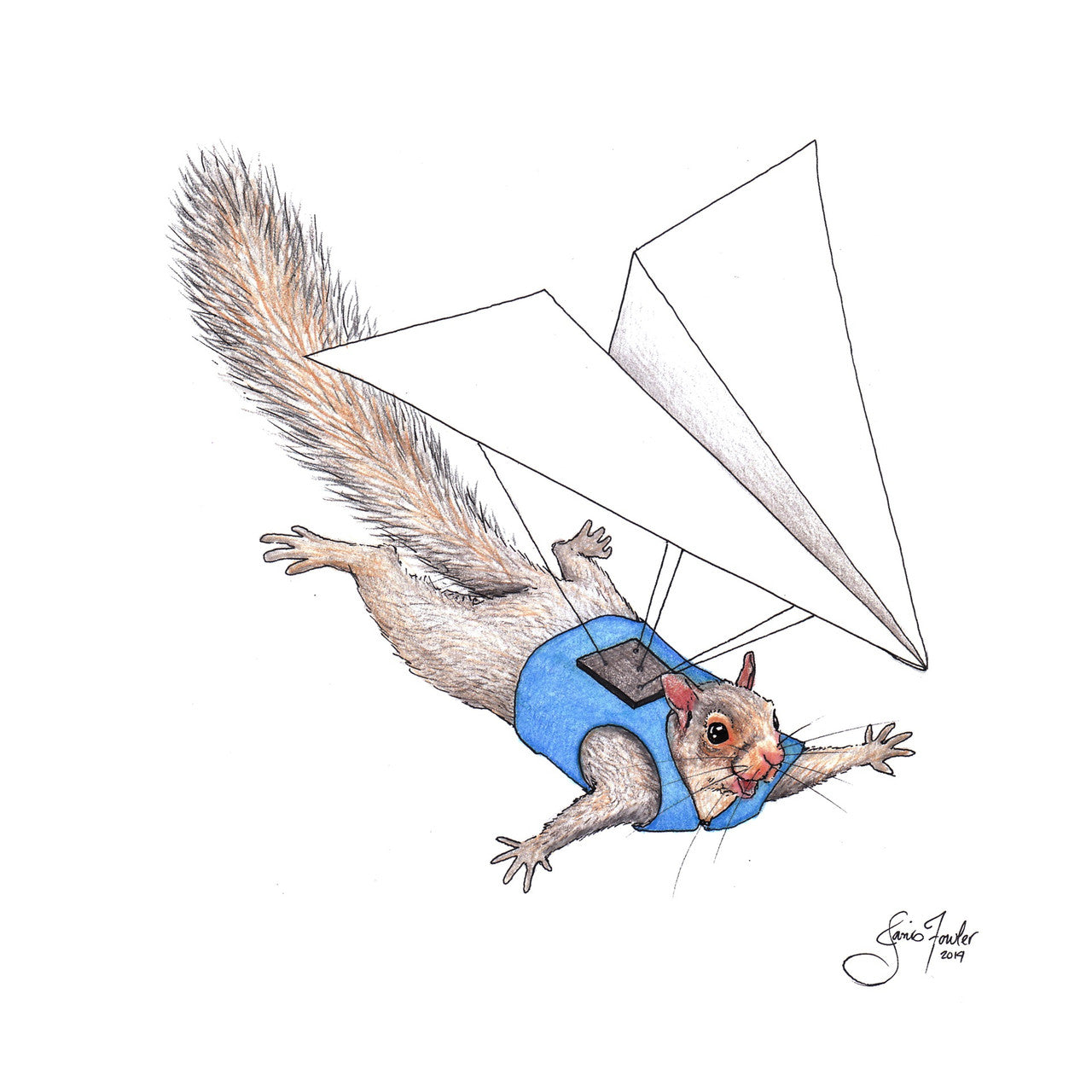 Flying Squirrel Print by Janis Fowler