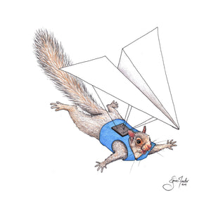 Flying Squirrel Print by Janis Fowler