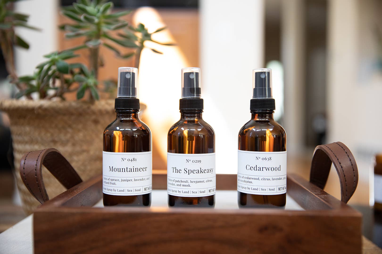 Mountaineer Room Spray by Land Sea Soul