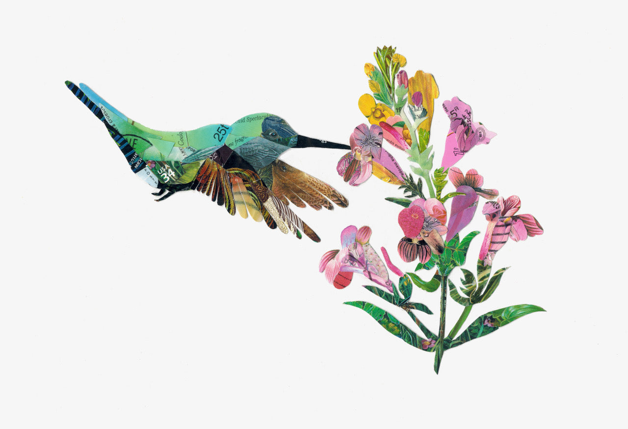 Hummingbird and Penstemon - Postage Stamp Collage Print + 11"x14" by Katie Conley