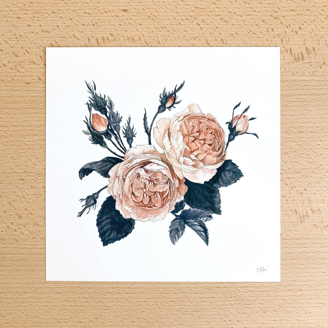 Maura Rose Print by Chloé Gray