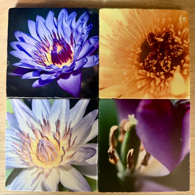 Printed Tile Coasters by Calloway Studios