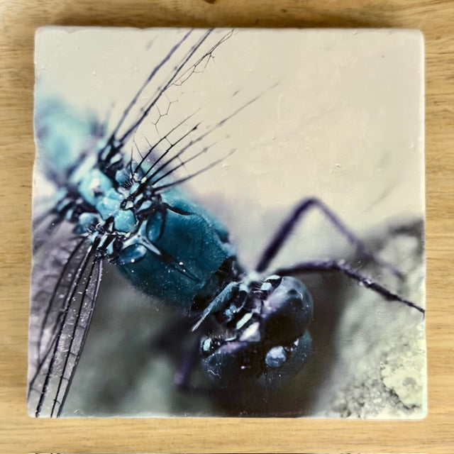 Printed Tile Coasters by Calloway Studios