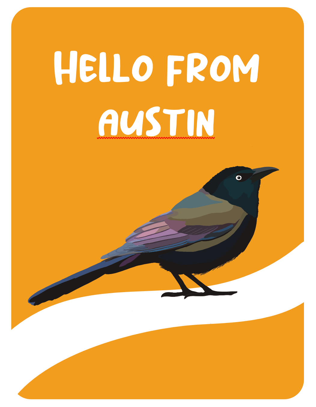 Hello From Austin Grackle Greeting Card by Jenn L Designs