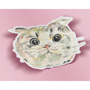 The cuteness of this Scottish Fold Cat stickers is precious