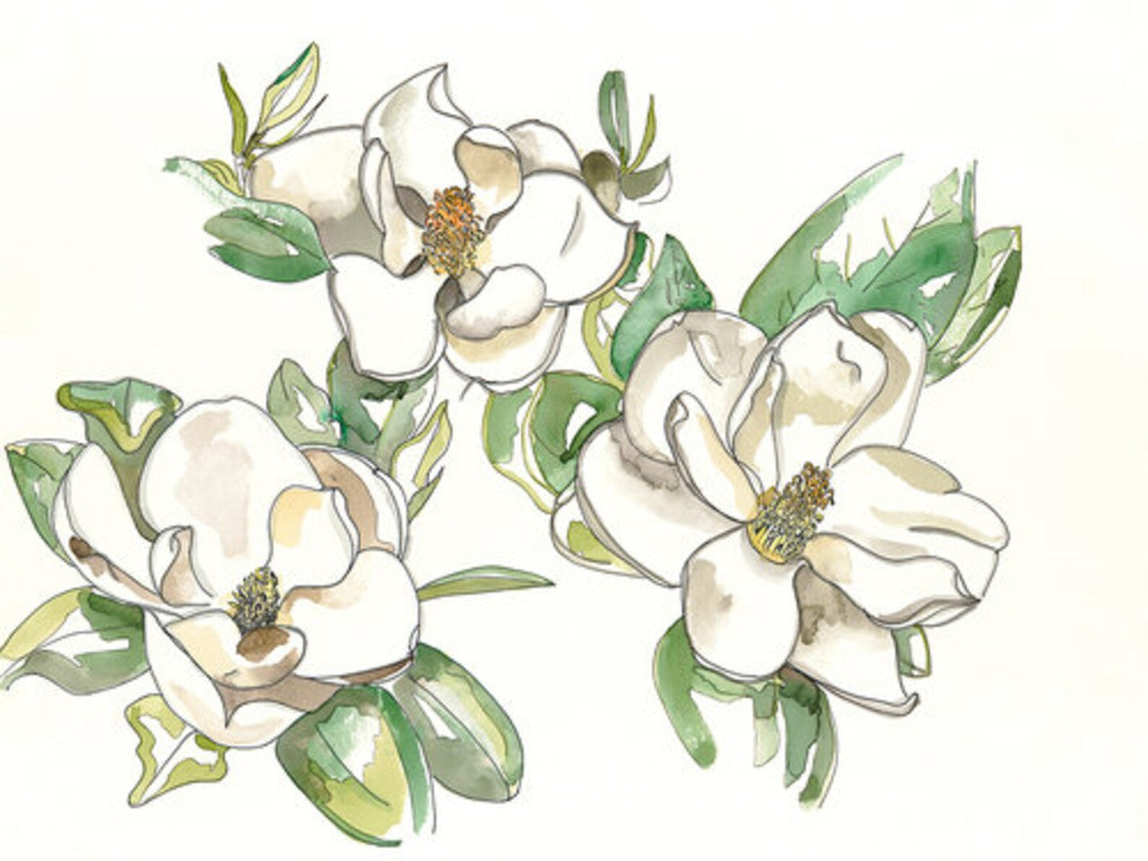 Magnolia Flowers Print by Katie Chance