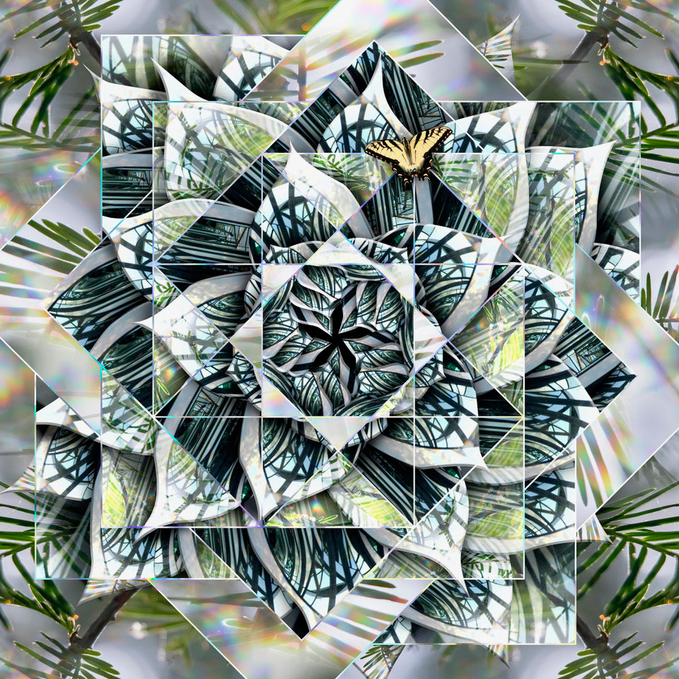 Mingle and Blur by Leslie Kell - Petite Framed