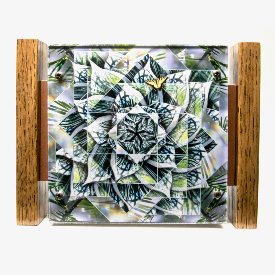 Mingle and Blur by Leslie Kell - Petite Framed