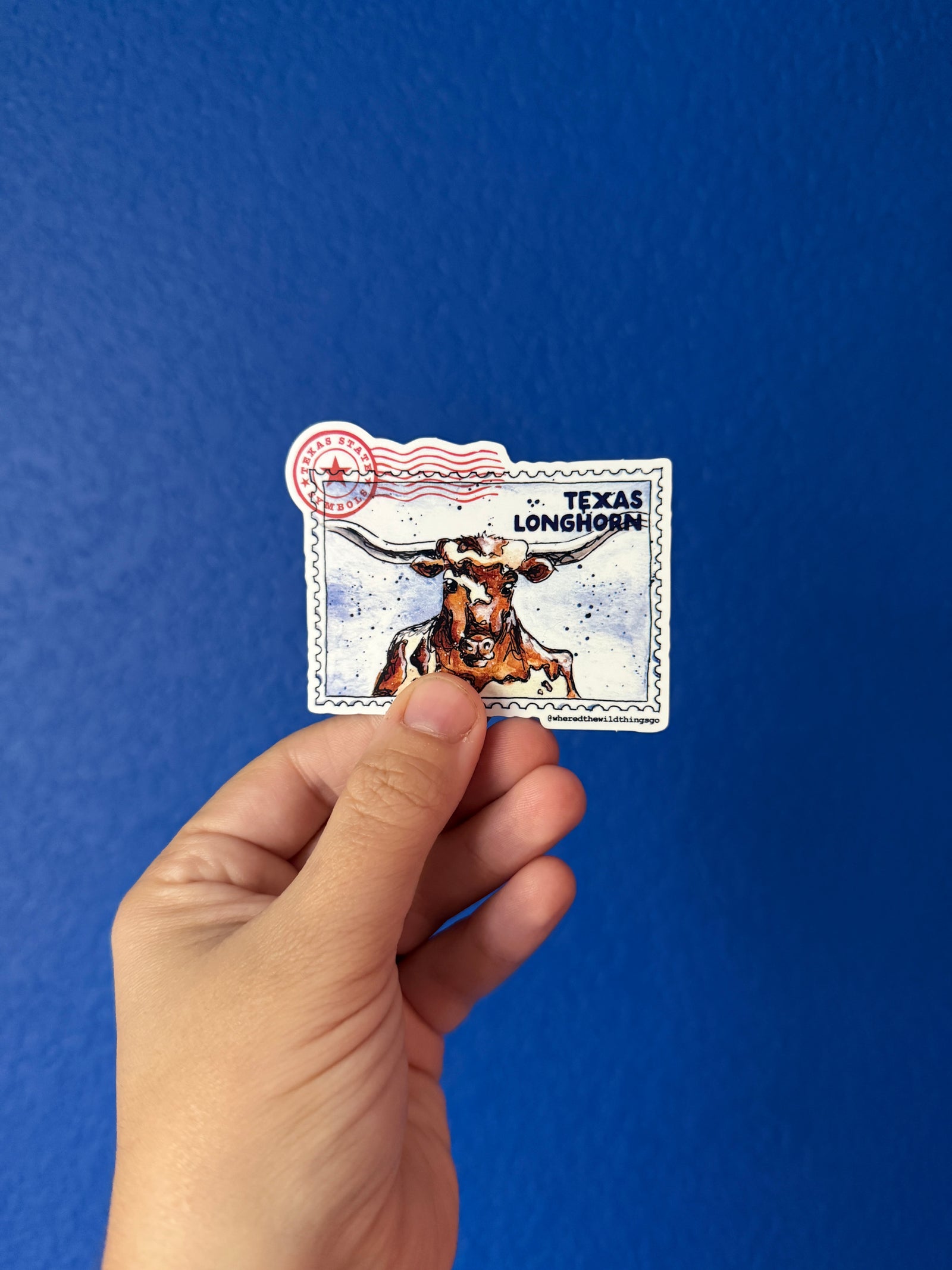 Texas Longhorn Sticker by Emily Tolipova of Where'd The Wild Things Go