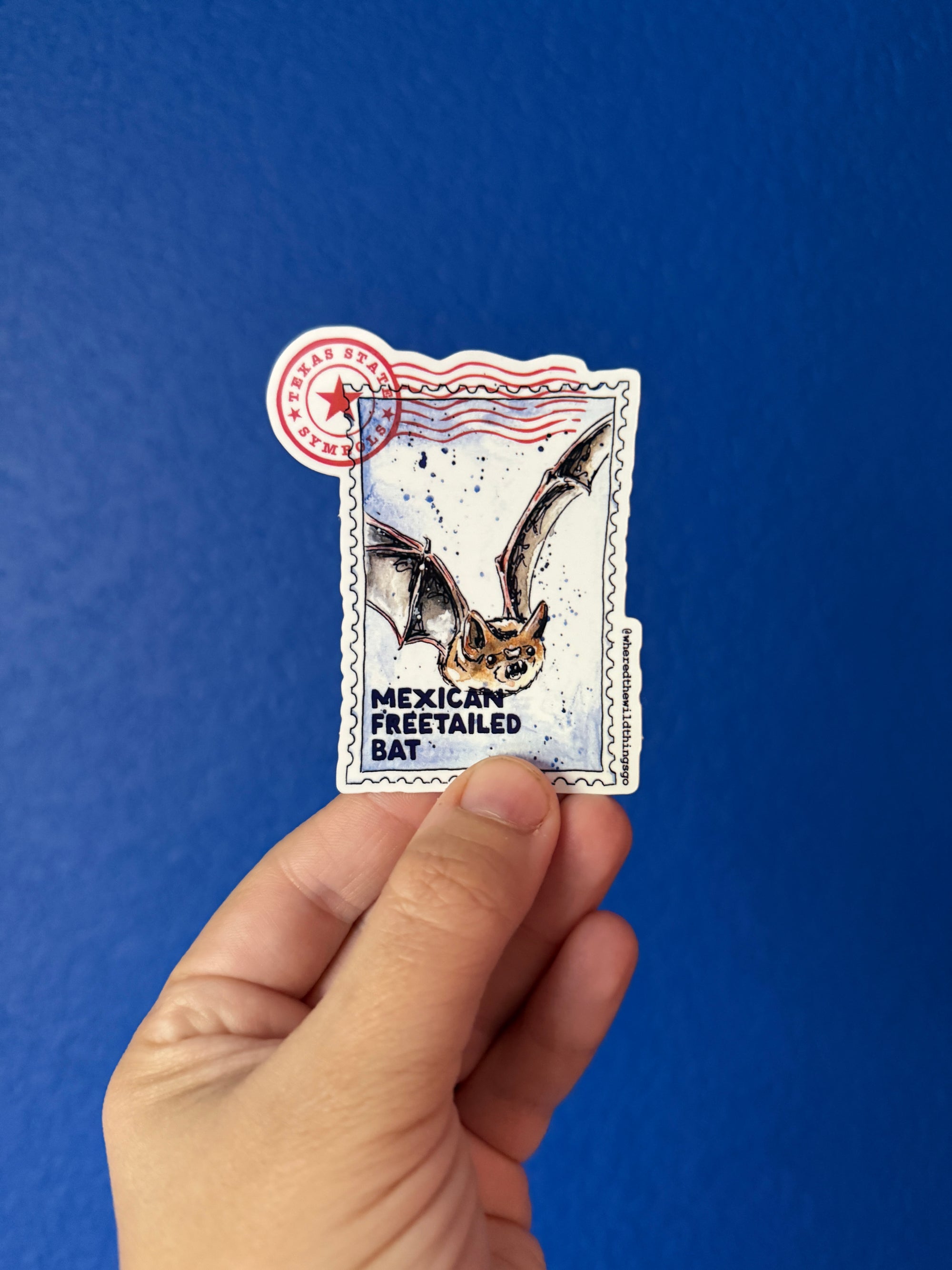 Mexican Free-tailed Bat Sticker by Emily Tolipova of Where'd The Wild Things Go