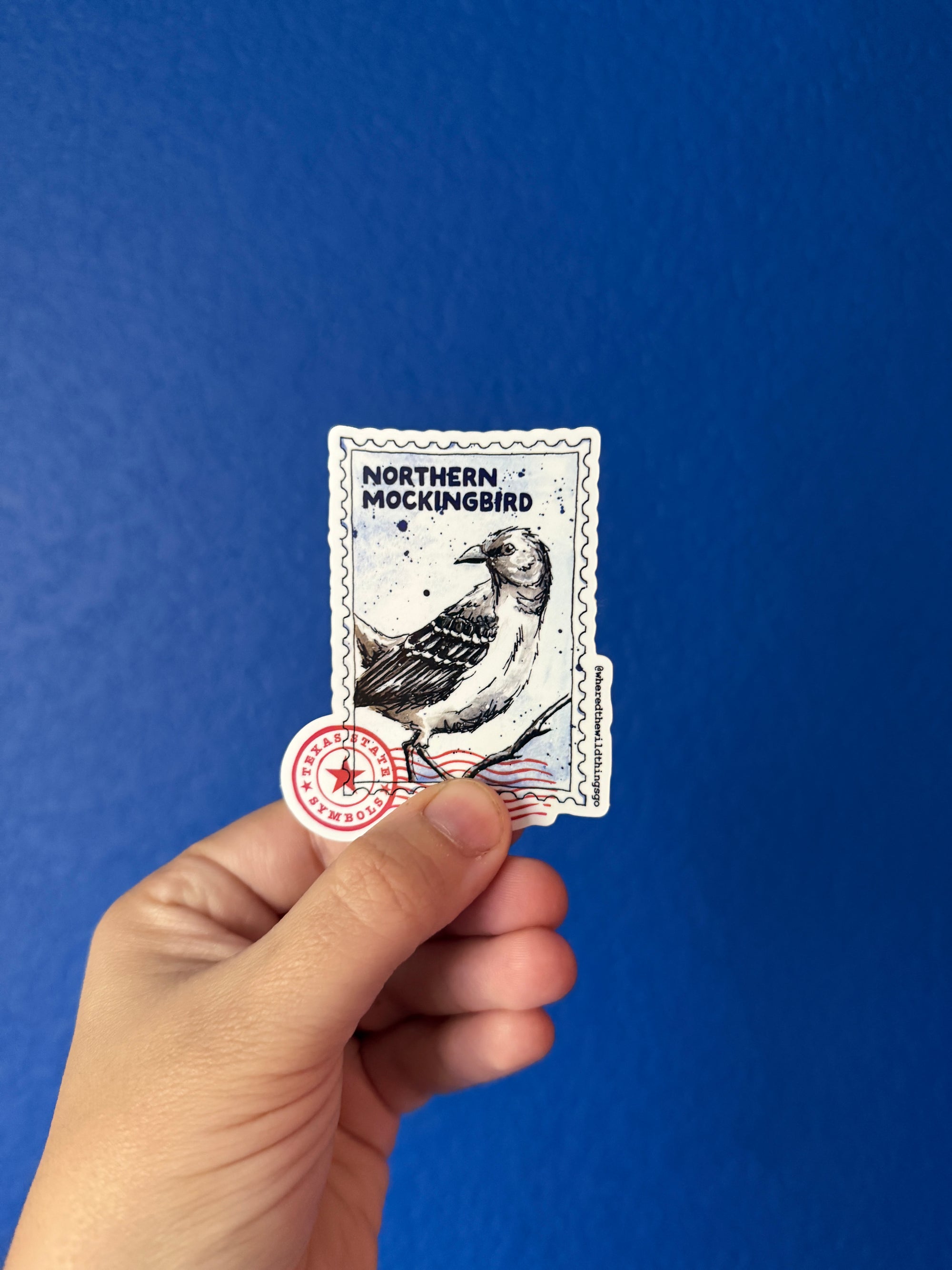 Northern Mockingbrid Sticker by Emily Tolipova of Where'd The Wild Things Go
