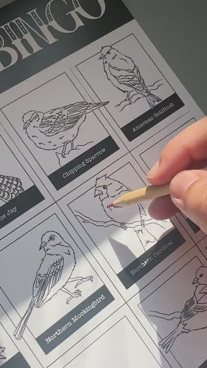 Austin Bird Bingo Coloring Poster by Emily Tolipova of Where'd The Wild Things Go