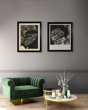 Live Oak Study 1 by Leslie Deil